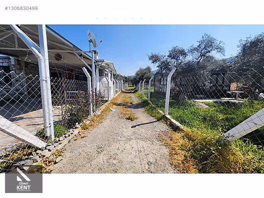 Kemalpaşa Ören Satılık Zeytinlik 1.230 m2 - İZMİR KEMALPAŞA fotoğraf 26
