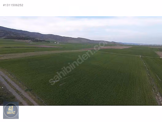 AHIL İÇİN SATILIK TARLA - AMASYA MERZİFON fotoğraf 3