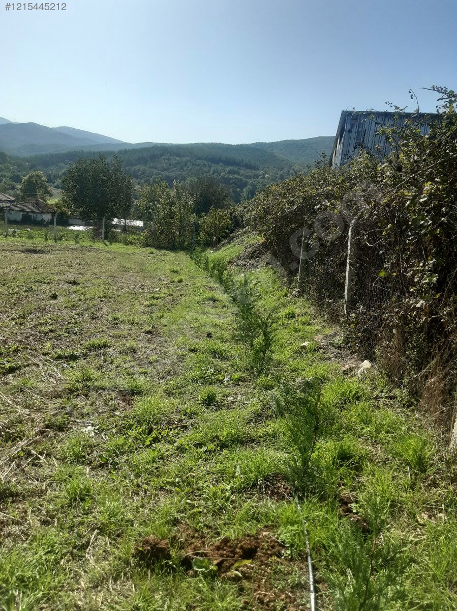 BURSA MUSTAFAKEMALPAŞA PAŞALAR'DA 2.861 M²  BAHÇELİ AHŞAP EV VE ARSA SATILIKTIR - BURSA MUSTAFAKEMALPAŞA fotoğraf 14