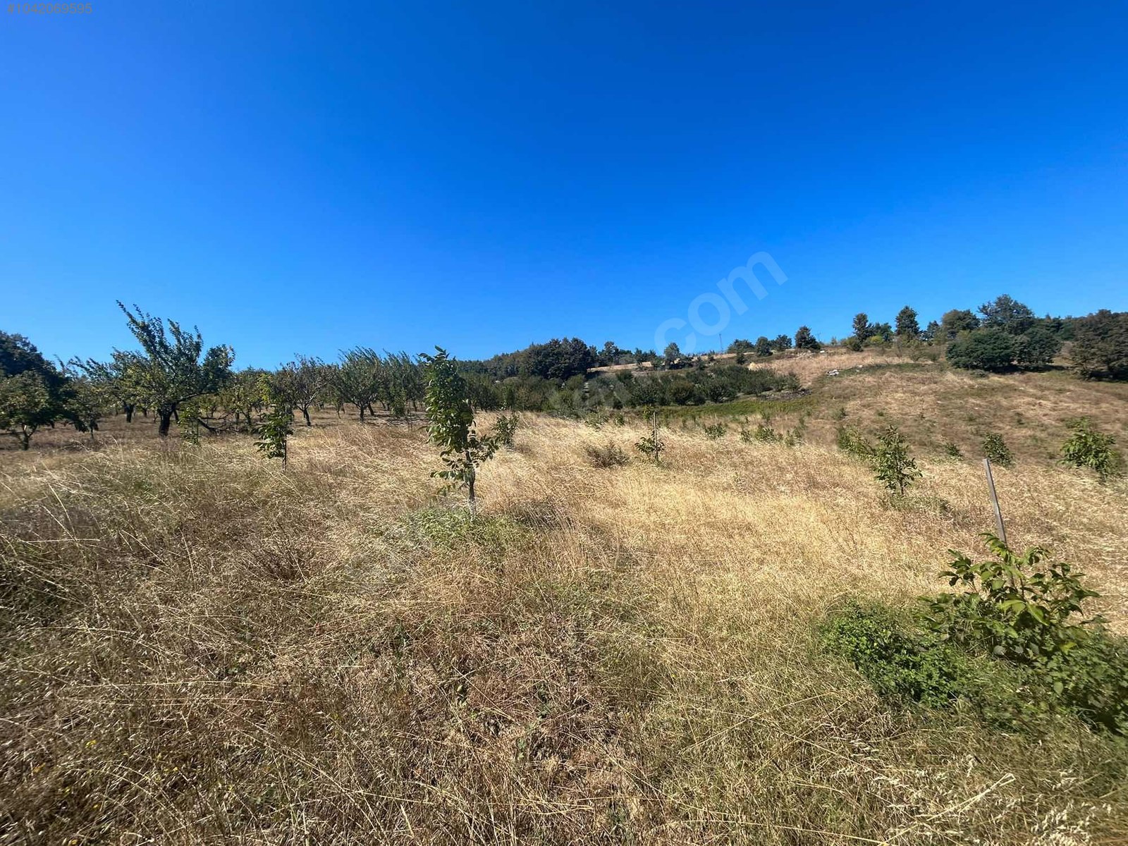 BURSA İZNİK TACİR KÖYÜNDE 13.056 M TARLA SATILIKTIR - BURSA İZNİK fotoğraf 23