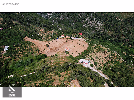 Kemalpaşa Atatürk Kozludere Satılık 6.543 m2 Arazi - İZMİR KEMALPAŞA fotoğraf 20