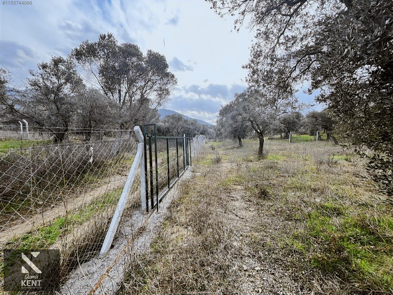 Kemalpaşa Gökyaka Satılık 2700 m2 Bahçe - İZMİR KEMALPAŞA fotoğraf 23