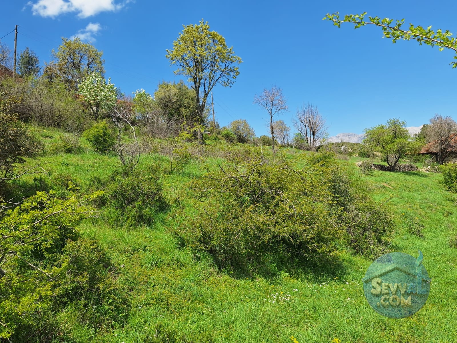 BURDUR AĞLASUN KİBRİT KÖYÜNDE SATILIK KERPİÇ EV VE TARLA - Burdur Ağlasun fotoğraf 34