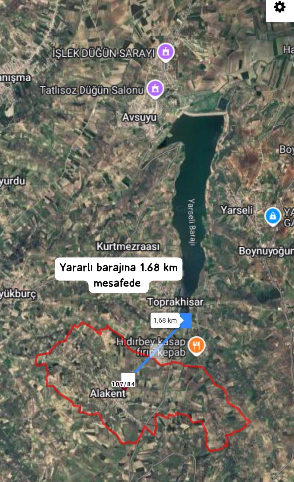 SATILIK 22.620 M² 74 yaşında büyük verimli zeytinlik Hatay / Altınözü / Alakent 