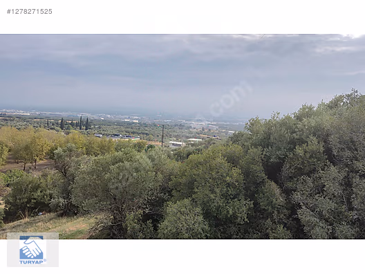 İzmir Kemalpaşa Sütçüler Köyü Satılık Arsa - İZMİR KEMALPAŞA fotoğraf 27