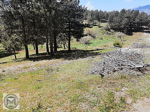 HAVRAN FAZLICA HANLAR MEVKİİ EKO TURİZME UYGUN 12500 M2 TARLA - BALIKESİR HAVRAN fotoğraf 20