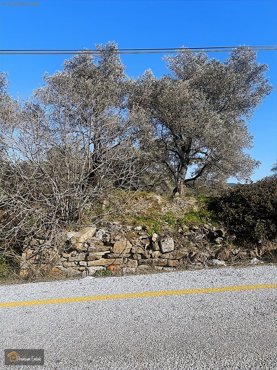 MİLAS KARACAHİSARDA KÖY İÇİ KAĞİR EV VE 980 M2 ARSASI - MUĞLA MİLAS fotoğraf 10