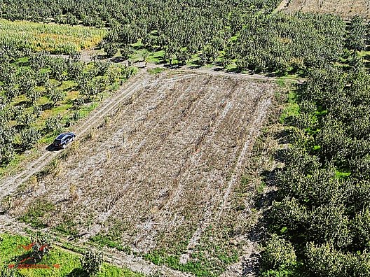SAKARYA GEYVE UMURBEY MAH. 2444,26 M2 SATILIK TARLA - SAKARYA GEYVE fotoğraf 25