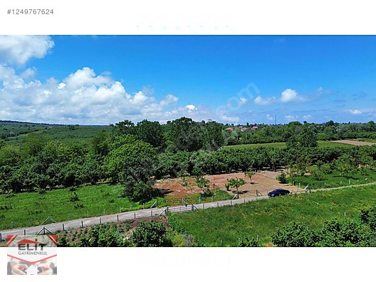 KARASU KUYUMCULUDA SATILIK 463 M2 FIRSAT ARSA - SAKARYA KARASU fotoğraf 6