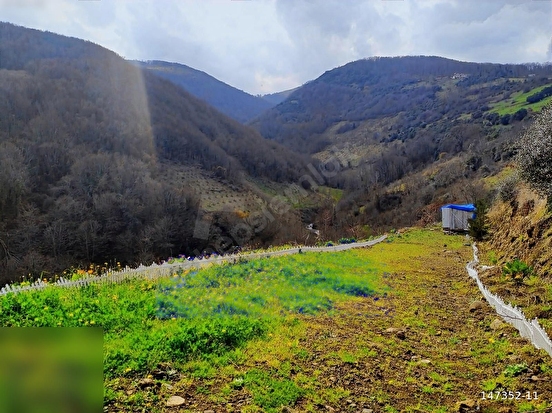 KURUGÖKÇE DE 250M EV YAPMAYA UYGUN - SAMSUN ATAKUM fotoğraf 4