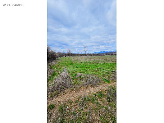 Karabey Köyü'nde Satılık 1800 M² Biber Tarlası - ÇANAKKALE YENİCE fotoğraf 2