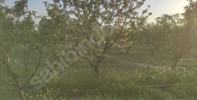 BURSA KESTEL NARLIDERE KÖYÜNDE 3.090 M² TARLA SATILIKTIR - BURSA KESTEL fotoğraf 5