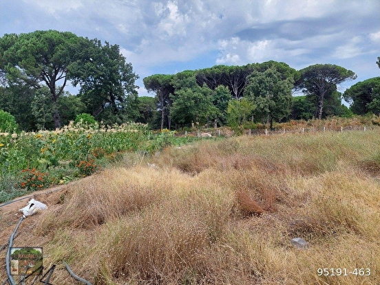 BERGAMA KOZAK YUKARIBEY MAH DE 4750 M2 BAĞ - İZMİR BERGAMA fotoğraf 3