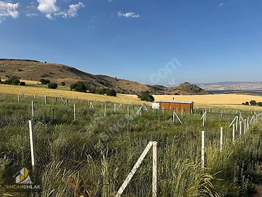 AYAŞ BAŞAYAŞ MAHALLESİNDE SATILIK FIRSAT HOBİ BAHÇELERİ - ANKARA AYAŞ fotoğraf 25