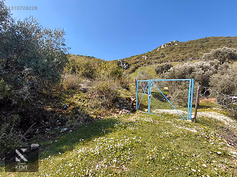 Kemalpaşa Soğukpınar İmar Gelişim Alanında Satılık 2,877m2 Bahçe - İZMİR KEMALPAŞA fotoğraf 22