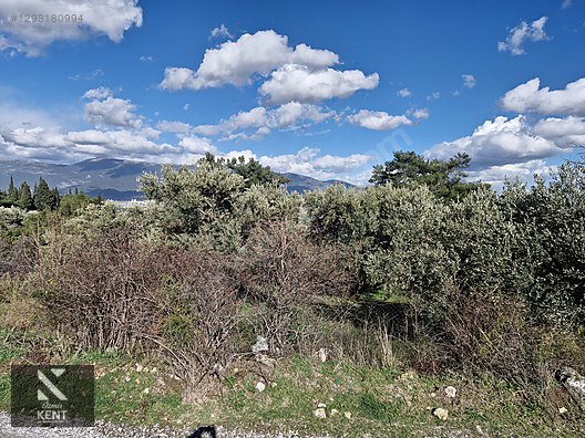 Kemalpaşa Soğukpınar Satılık 325 m2 İmar Sınırında Bahçe - İZMİR KEMALPAŞA fotoğraf 2