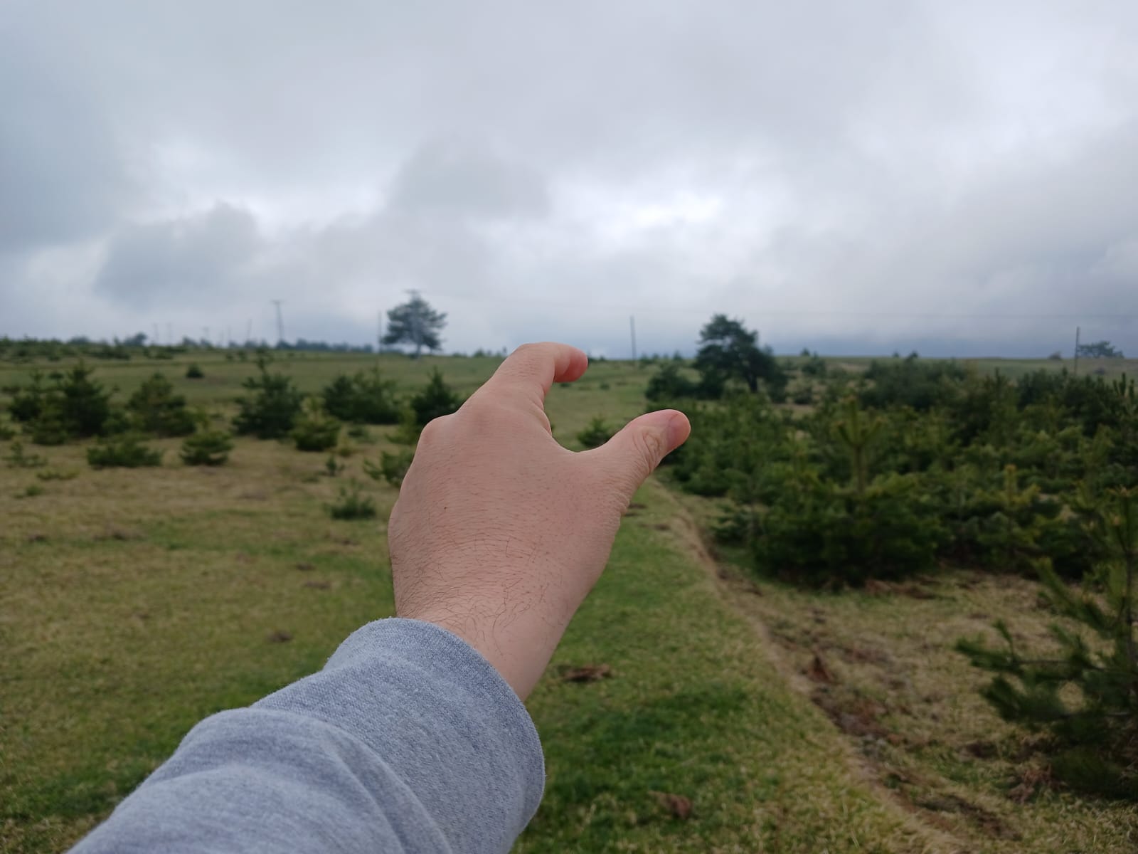 SİNOP DİKMEN ÇUKURCAALAN KÖYÜNDE 2.915M² TARLA SATILIK - SİNOP DİKMEN fotoğraf 17