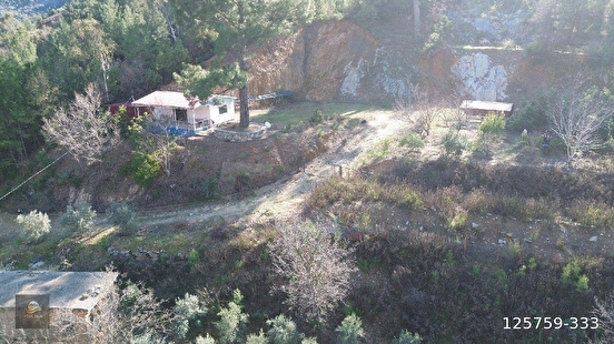 ANAMUR KORUCUKTA MÜSTAKİL SATILIK ZEYTİN VE AVOKADO BAHÇESİ - MERSİN ANAMUR fotoğraf 4