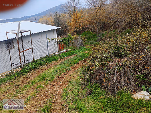 FATİH EMLAKTAN ŞAHİNYURDUNDA 956M2 SATILIK ZEYTİNLİK - BURSA GEMLİK fotoğraf 13