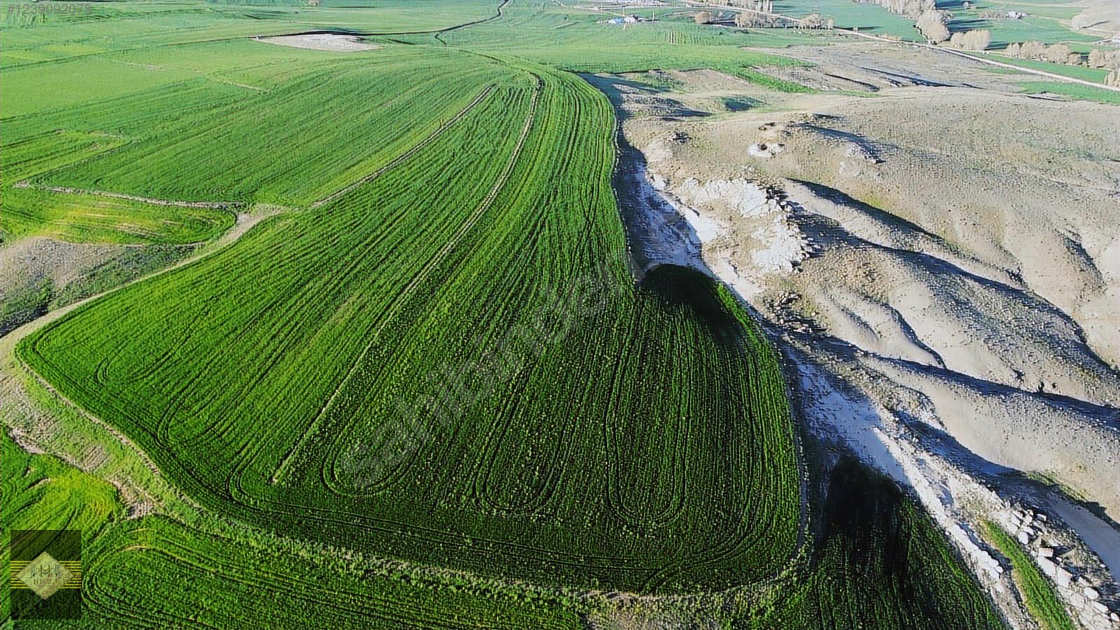 Huzur Yatırımdan Fırsat Yozgat Merkez Divanlıda Satılık Tarla - YALOVA MERKEZ fotoğraf 4