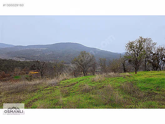 RESMİ YOLLU 800 M2 MANZARALI HOBİ BAHÇESİ - BİLECİK GÖLPAZARI fotoğraf 15