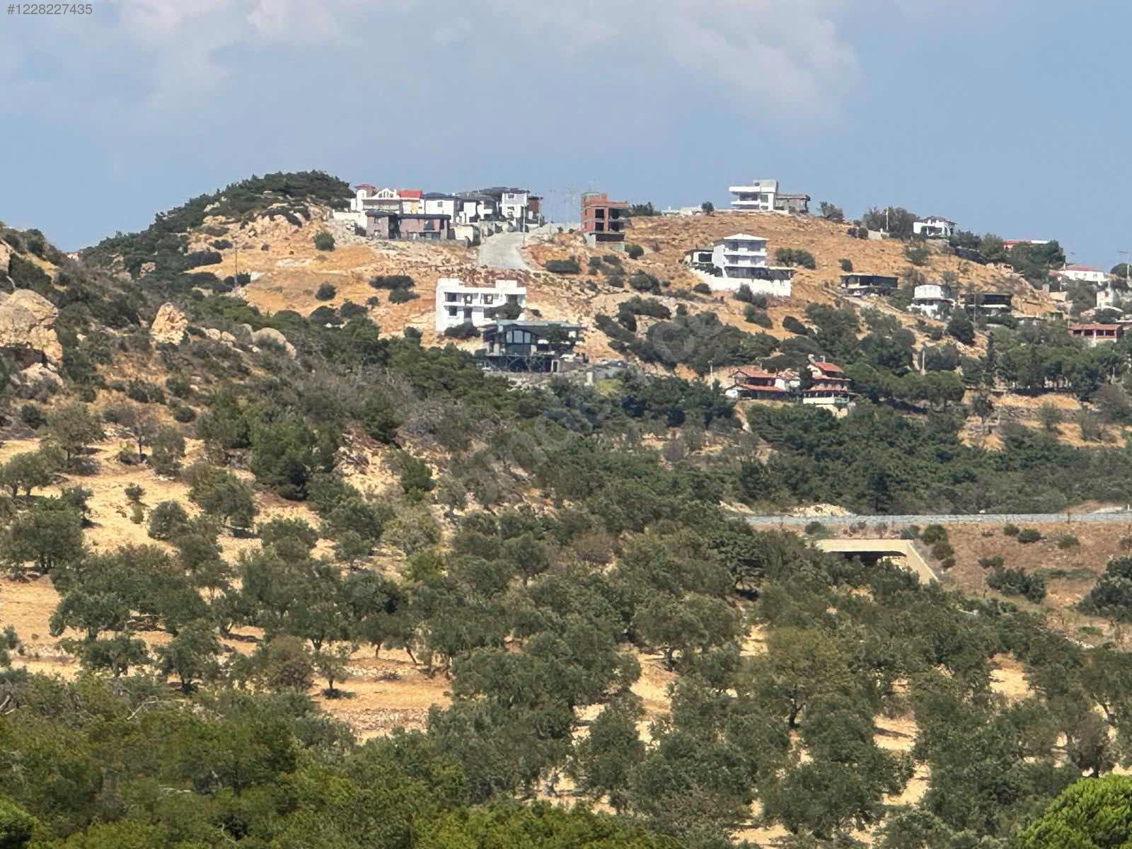 İZMİR ALİAĞA AŞAĞIŞAKRAN MAHALLESİNDE’NDE 8.320 M² ZEYTİNLİK SATILIKTIR - İZMİR ALİAĞA fotoğraf 7