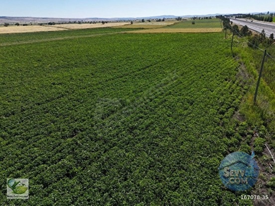 🚨 KÜTAHYA'DA ANAYOLA CEPHELİ 6.152 M² VERİMLİ TARLA 🚨 - KÜTAHYA MERKEZ fotoğraf 12