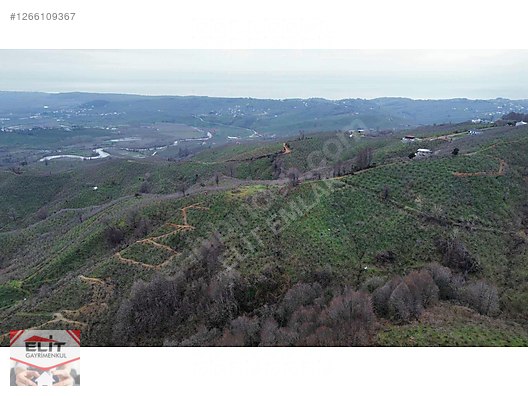 DÜZCE AKÇAKOCA DA EV YAPIMINA UYGUN SATILIK 7.768 M2 FINDIKLIK - DÜZCE AKÇAKOCA fotoğraf 29