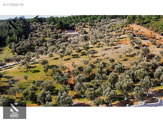 Kemalpaşa Sütçüler Satılık 11.398 m2 Bahçe - İZMİR KEMALPAŞA fotoğraf 29