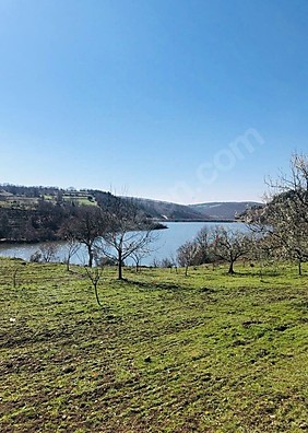 BURSA İZNİK MAHMUDİYE MAHALLESİ'NDE 7.500 M²  TARLAMIZ SATILIKTIR - BURSA İZNİK fotoğraf 9