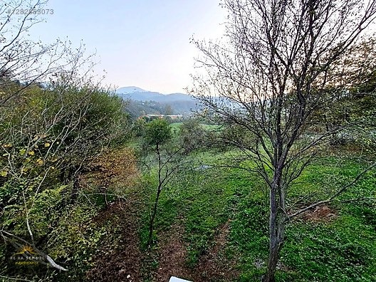 SAKARYA-KARAPÜRÇEK-MESUDİYE MAHALLE MERKEZİNDE SATILIK TARLA - SAKARYA KARAPÜRÇEK fotoğraf 3
