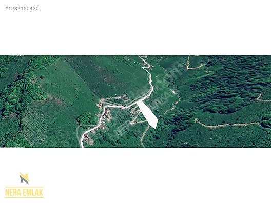 ORDU MERKEZ,DENİZ-PLAJ 55dk.TEK TAPU 4.190m2 EV YERİ ARSA - ORDU ALTINORDU fotoğraf 11