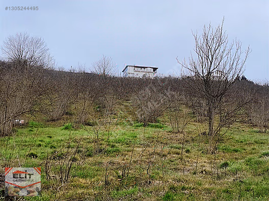 Kocaali Kirazlı'da 4.286m² Fındık Bahçesi ve 780m² İmarlı Arsa - SAKARYA KOCAALİ fotoğraf 58