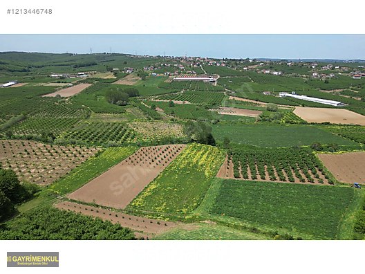 YATIRIM FIRSATI 3.962 M² TARLA FERİZLİ SARIAHMETLER MAH. - SAKARYA FERİZLİ fotoğraf 17