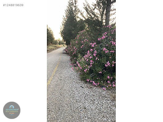 SEYDİKEMER EMLAK'TAN UĞURLU'DA MÜSTAKİL FIRSAT ARSA - MUĞLA SEYDİKEMER fotoğraf 10