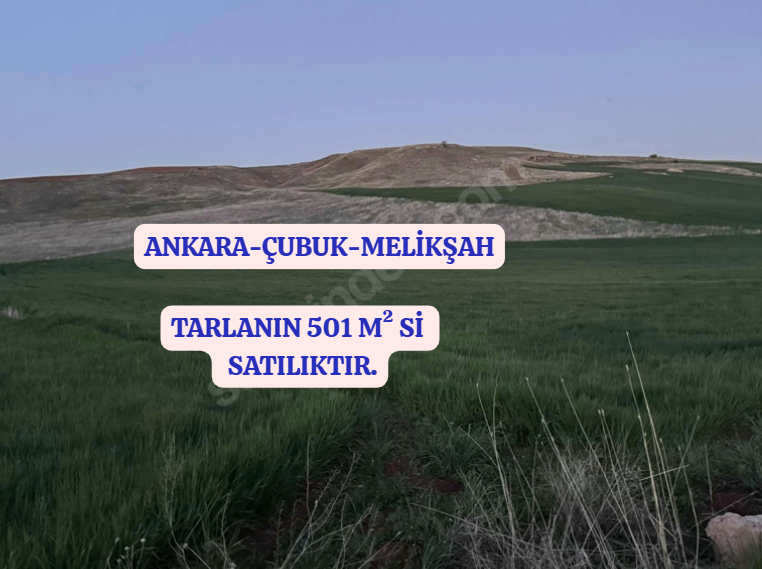 İlan Resmi