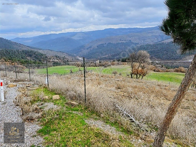 Manisa Akhisar Söğütlü Asfalt Konut İmarlı Arsa Kredi K. Geçerli - MANİSA AKHİSAR fotoğraf 2