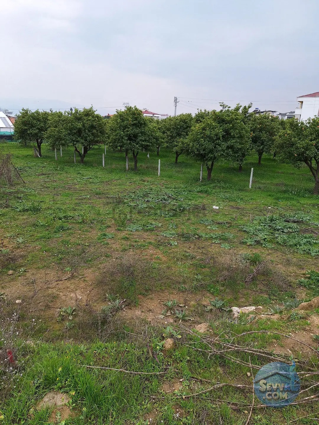 Villalar İmarlı Arsa - AYDIN NAZİLLİ fotoğraf 11
