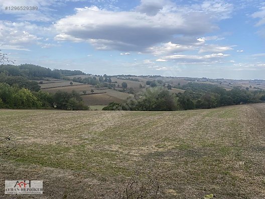 KOCAELİ ARAMAN DA ADAPAZARI KANDIRA YOLUNA CEPHELİ 3506 M2 TARLA - KOCAELİ KANDIRA fotoğraf 46