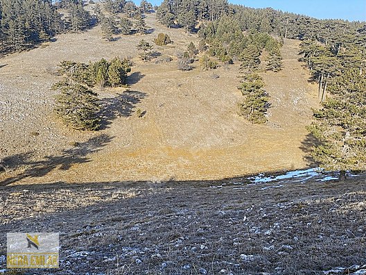 BİLECİK BOZÜYÜK'DE TOPRAĞIM OLSUN DİYENE TEK TAPU KELEPİR TARLA - BİLECİK BOZÜYÜK fotoğraf 2
