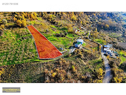 GEYVE DEREKÖYDE 1299 M2 SAKARYA NEHRİ MANZARALI TARLA - SAKARYA GEYVE fotoğraf 4