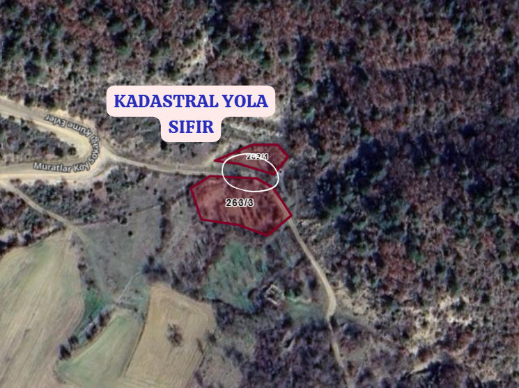 BİLECİK GÖLPAZARI KAVAK  KÖYÜNDE 1.277 M²  TARLA  SATILIKTIR - BİLECİK GÖLPAZARI fotoğraf 3