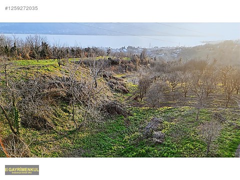 TAKASLI TAMAMEN İZOLE ORMAN İÇİNDE İNŞAAT RUHSATLI EMSALSİZ ARSA - KOCAELİ KARTEPE fotoğraf 3