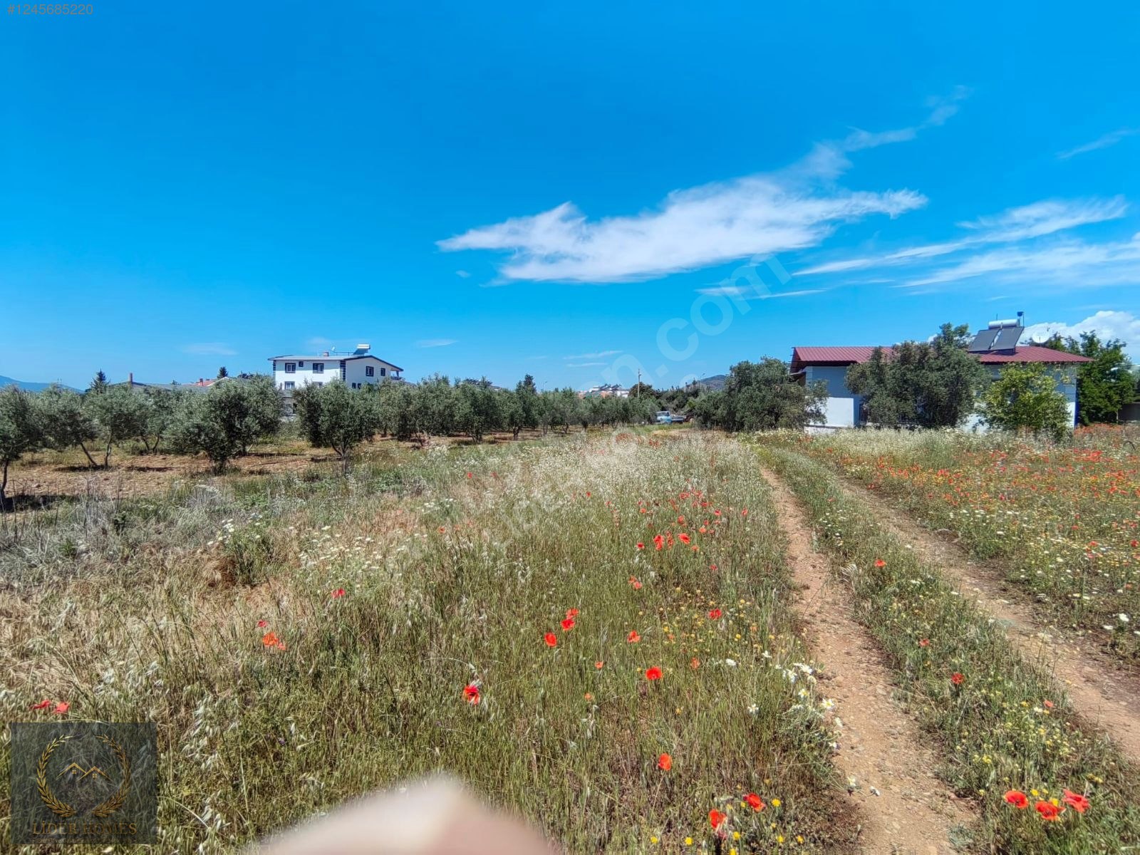 FETHİYE ÇAMKÖY DE %25 İMARLI ARSA 300 M - MUĞLA FETHİYE fotoğraf 15