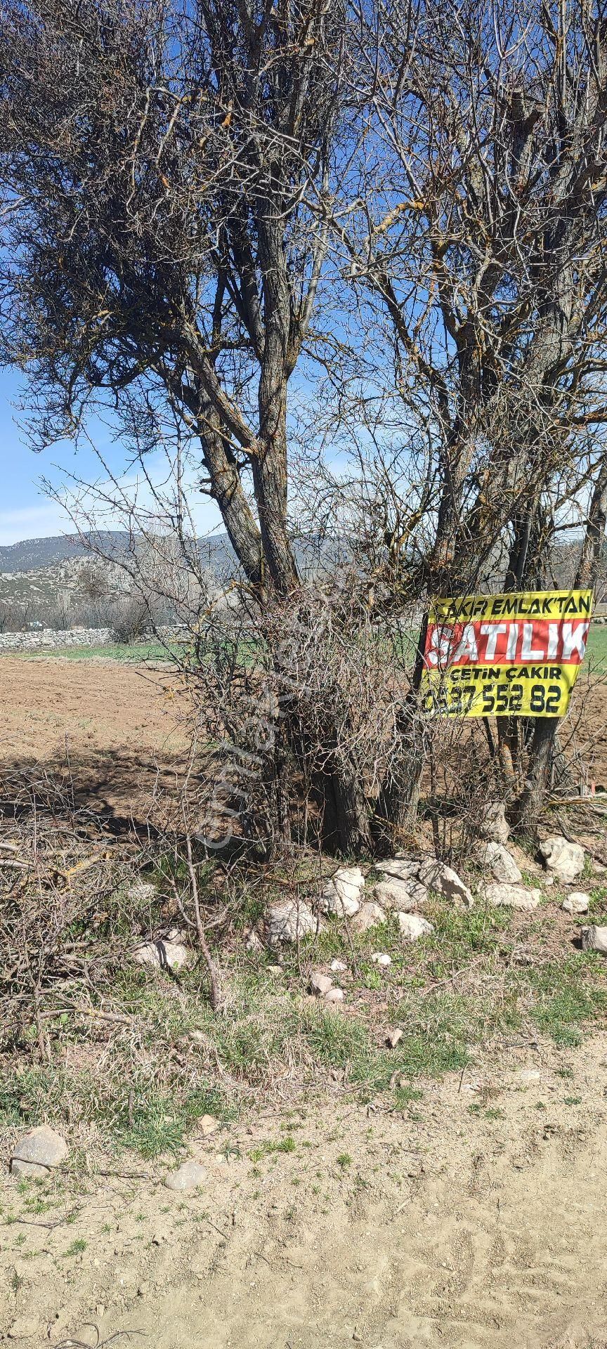 Burdur Ağlasun Hisarköy Muhteşem Konumda Elektrik Yol Su Sorunu Olmayan Satılık  - BURDUR AĞLASUN fotoğraf 12