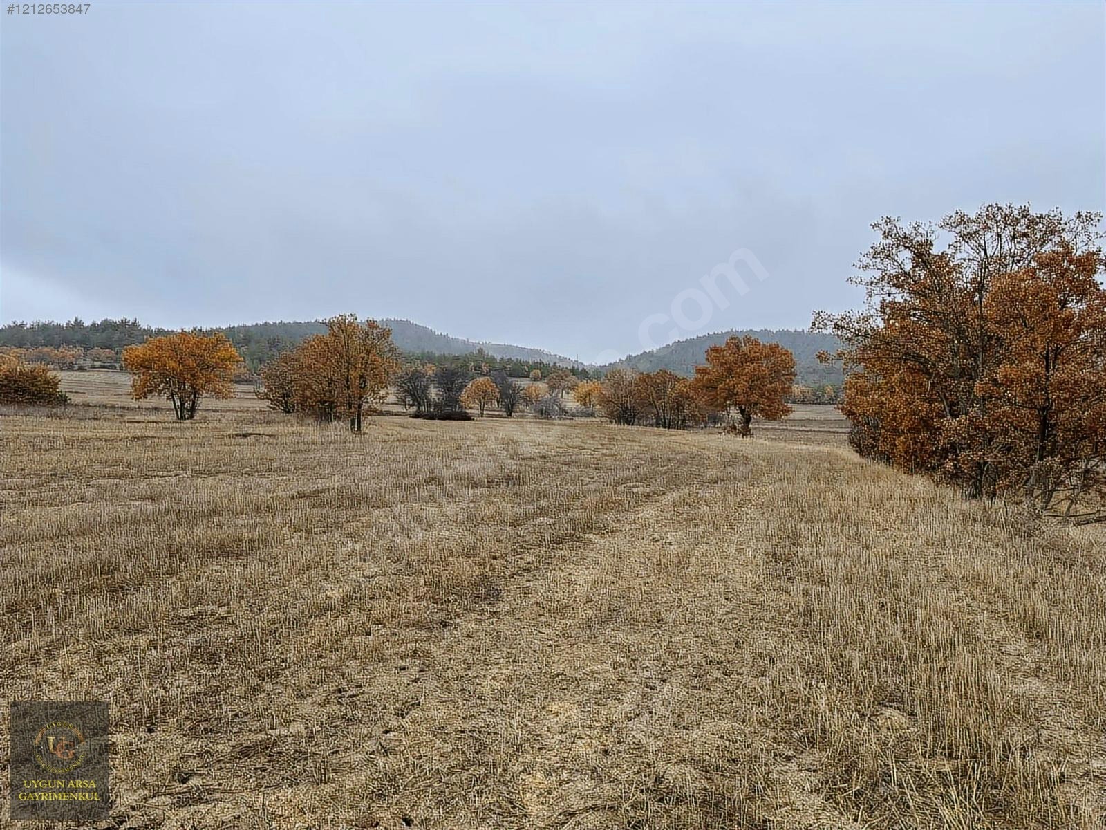 BOLU GÖYNÜK KARAARDIÇ'TA 4.921 M2 UYGUN ARSA - BOLU GÖYNÜK fotoğraf 20