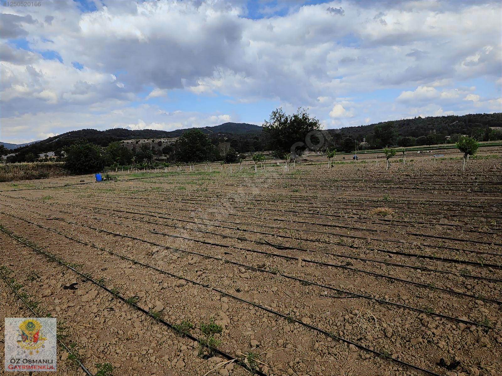600 M2 NEHİR KENARI RESMİ YOLU OLAN MERKEZE YAKIN TARLA - BİLECİK OSMANELİ fotoğraf 4