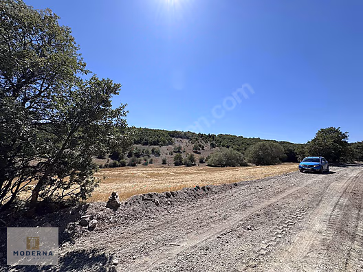 ESKİŞEHİR SEYİTGAZİ RESMİ YOLA VE ORMANA CEPHE 3357 M2 TEK TAPU - ESKİŞEHİR SEYİTGAZİ fotoğraf 12