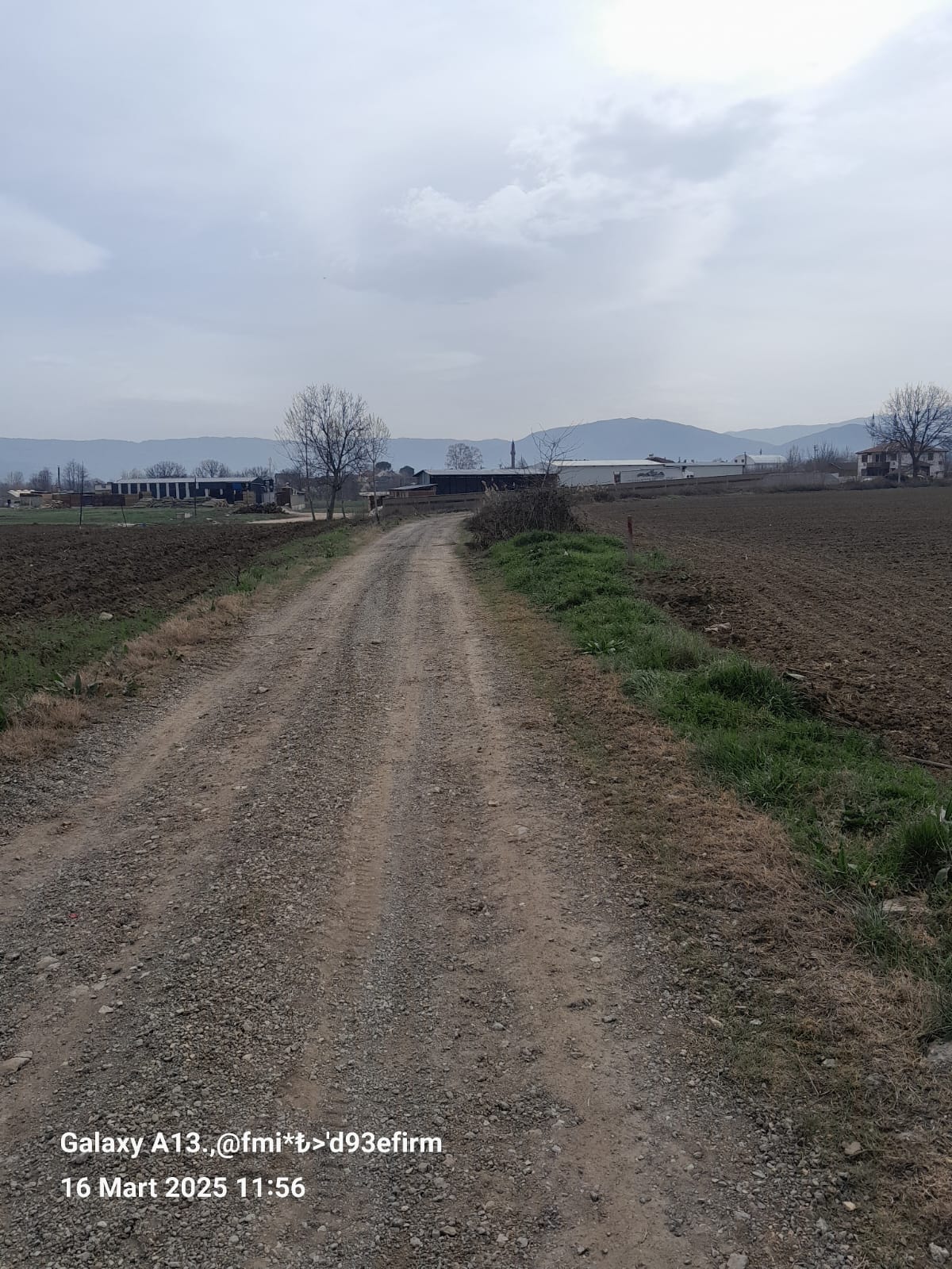 BURSA İNEGÖL HASANPAŞA SATILIK TARLA 9100m² - BURSA İNEGÖL fotoğraf 8
