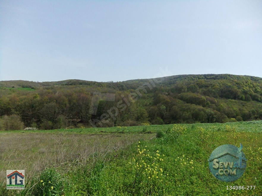 KOCAELİ/KANDIRA/AHMETHACILAR KÖYÜNDE SATILIK 2 PARSEL TARLA. - KOCAELİ KANDIRA fotoğraf 10
